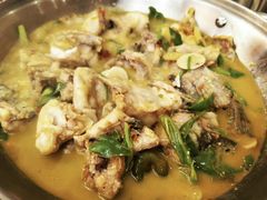 -饭怕鱼(阳光100店)