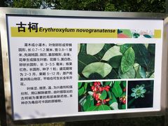 -国家植物园南园