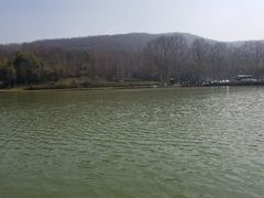 -镇江市南山风景名胜区竹林景区