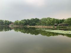-北坞公园