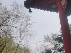 -哈尔滨极乐寺