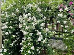 -江南大学(蠡湖校区)