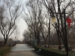 -古塔公园