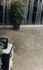 -蚂蚁造型俱乐部