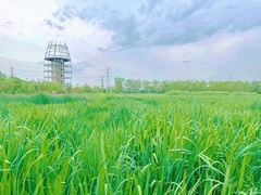 -永定河休闲森林公园