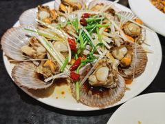 油泼扇贝-晚归月亮湾私家菜(临邑路店)