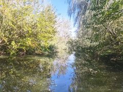 -溱湖国家湿地公园