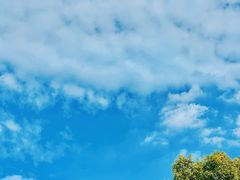 -证大大拇指广场(芳甸路店)