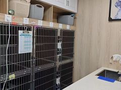 -恒幸动物医院·急重症转诊中心·神经内外科·CT核磁