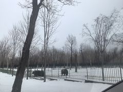 -秦皇岛野生动物园