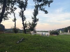-石台牯牛降景区
