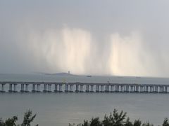 -宝安西湾红树林湿地公园