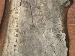 -安阳博物馆