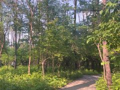 -黑龙江省森林植物园