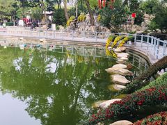 -莲湖公园