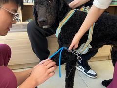 -宠福鑫康馨动物医院·骨科·眼科