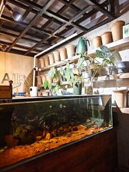 -青木造型HAIR·あおき髪を刈る潮人店