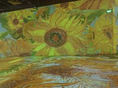 -梵高星空艺术馆(北京旗舰店)