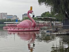 -莲花池公园