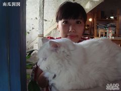 -Babycat私家御饼屋(龙头路一店)