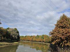 -上海海湾国家森林公园