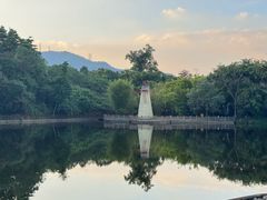 -大屏嶂森林公园