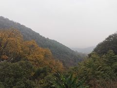 -韬光茶庵