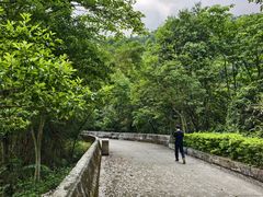 -田心森林公园