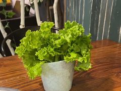 -仓库烤肉(绿园店)