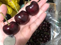 -鲜果壹号(苏站路店)
