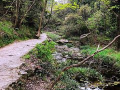 -木兰云雾山