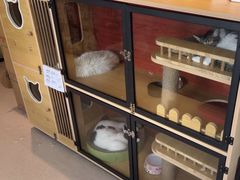 -御宝贝·A梦猫科宠物医院(国际猫友好医院)