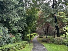 -成都市活水公园