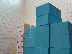 -老袁家蜜桃农场·阳山水蜜桃