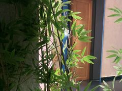 -新紫霞养生·影院足道·SPA(金山区店)