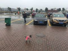 -九华山聚龙大酒店