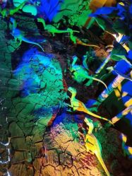 -恐龙探索乐园(磁器口店)