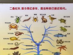 -上海昆虫博物馆