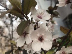 -天津东丽湖风景区