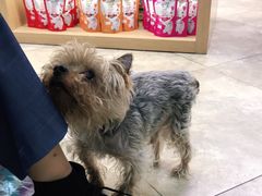 -美联众合动物医院·24h转诊中心