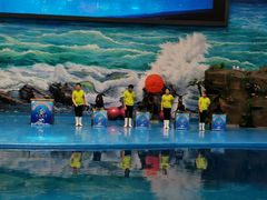 -多彩贵州城极地海洋世界