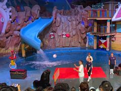 -烟台海昌鲸鲨海洋公园