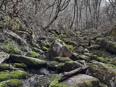 -太平万花山景区