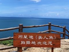 -杨梅坑