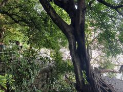 -抚仙湖禄充风景区