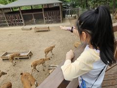 -日照海滨国家森林公园