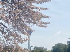 -红星桥(地铁站)