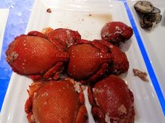 -天伦松鹤大饭店·欣妮咖啡