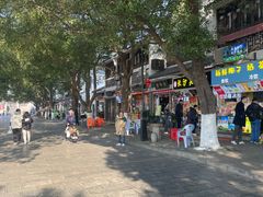 -巢湖姥山岛