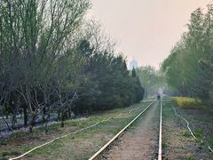 -永定河休闲森林公园